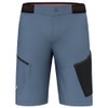 Salewa Pedroc 3 Durastretch Men's Cargo Shorts