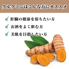 クルクミンエキス95＋ピペリンエキス配合カプセル 500mg×60 カプセル 約60日分 【1袋/2袋/3袋】 無添加 無農薬栽培 美肌 肝臓 お酒 タバコ 健康 管理 秋 ウコン アーユルヴェーダ サプリメント (1)