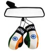 India Flag Mini Boxing Gloves for Cars or Home -
