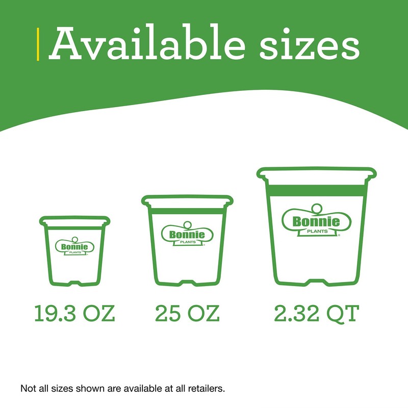 Bonnie Plants Red Bell Pepper Live Vegetable Plants - 4