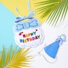 Small Dog Cat Birthday Hat Scarf Set,Cute Cat Birthday Hat,Happy