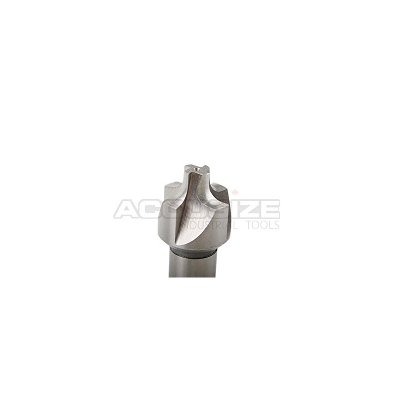 Accusize Industrial Tools Hss Corner Roudning End Mill, 5/32'' Radius,