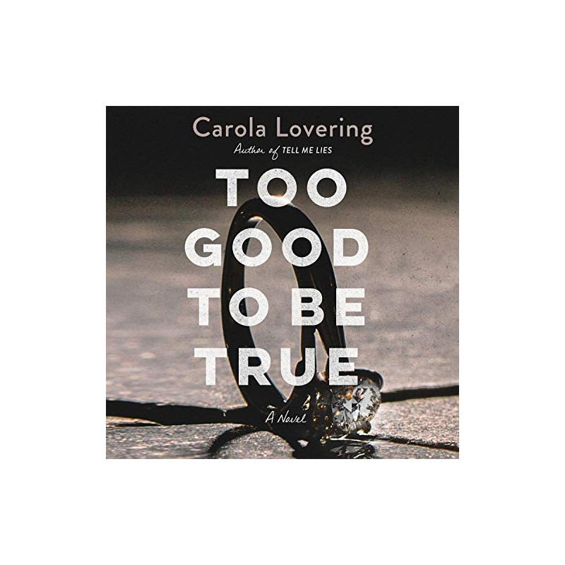 Too Good to Be True: A Novel