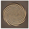 AA Audio Anatomy Vinyl Record Turntable Cover Spiral Design Made