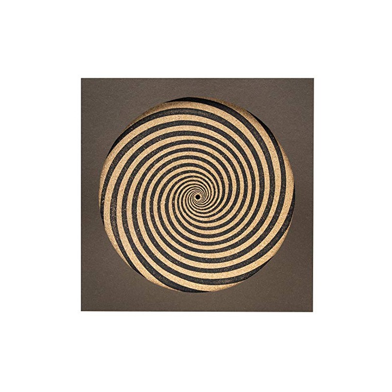 AA Audio Anatomy Vinyl Record Turntable Cover Spiral Design Made
