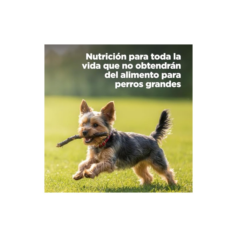 Hill's Science Diet Small Mini Croquetas para Perro Adulto Sabor