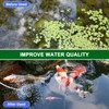 Upgraded Digital Display Solar Pond Aerator, 3 Working Modes(Low/Med/High) Solar