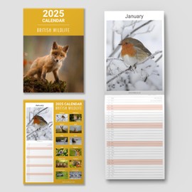 2025 British Wildlife Family Calendar Slim Wall Month to View Family Monthly Planner Organiser Aesthetic Design and UK Holidays