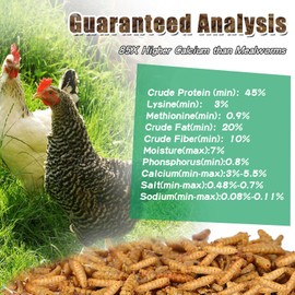 LuckyQworms 5 LBS Dried Black Soldier Fly Larvae Mealworms  Non-GMO for Chicken Birds Treats