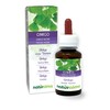 Ginkgo (Ginkgo biloba) Leaves Alcohol-Free Mother Tincture Naturalma - Liquid