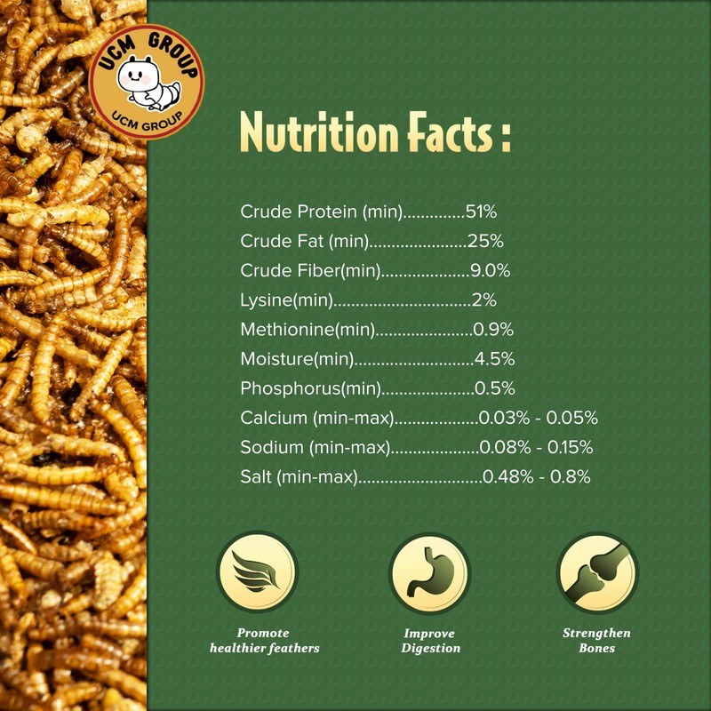 UCM Group 10LB Dried Mealworms for Wild Birds, Chickens, High