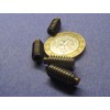 18-8 Stainless Steel Brass Tip Set Screw 1/4"-20 x .500"