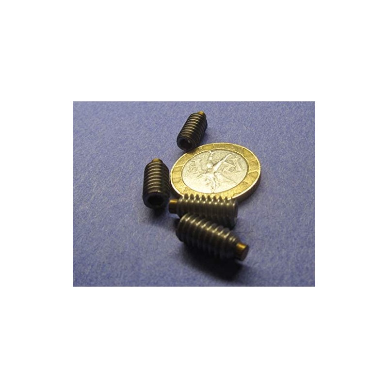 18-8 Stainless Steel Brass Tip Set Screw 1/4"-20 x .500"