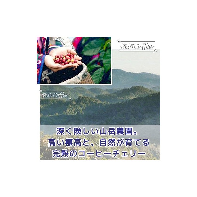 Coffee Raw Beans Blue Moon Thai Galaxy Coffee (600g)