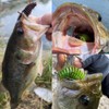 Daiwa Bass Worm Move Bait 4.3 Magic Shad