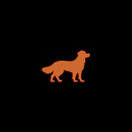 Nova Scotia Duck Tolling Retriever Dog Silhouette Glow in The Dark Sticker Decal for Phone Tablet Laptop Car Truck Window | 4" Sticker | Orange