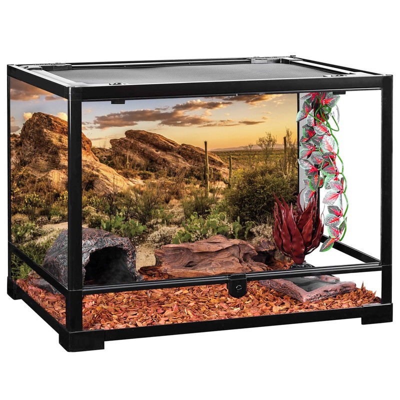 AWERT Reptile Habitat Background Blue Sky Oasis Cactus Sun and