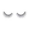 Caroline Winters Magnetic Eyelashes- 50+ Wears Reusable, All Day Wear,