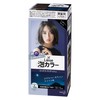 Liese Bubble Color Midnight Ash Hair Dye