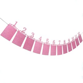 Baby First Birthday Banner, Pink Glitter Growth Record 1-12 Month Photo Props Baby Girl Party Decoration Supplies