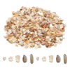 sourcing map 500g Shredded Shells, Irregular Natural Mosaic Shell Fragments