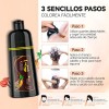 Kaisasa Champú Para Tinte De Cabello marrón oscuro 3 En