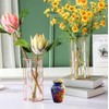 Modern Print Keepsake Urn - Colorful Mini Cremation Urn for