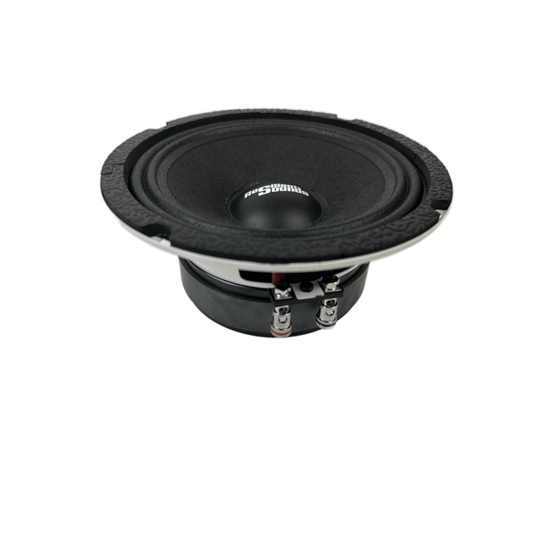 Resilient Sounds RS 65M 250w rms 4ohm 6.5" Speaker