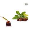ACEITE DE JOJOBA 100% PURO 125 ML.