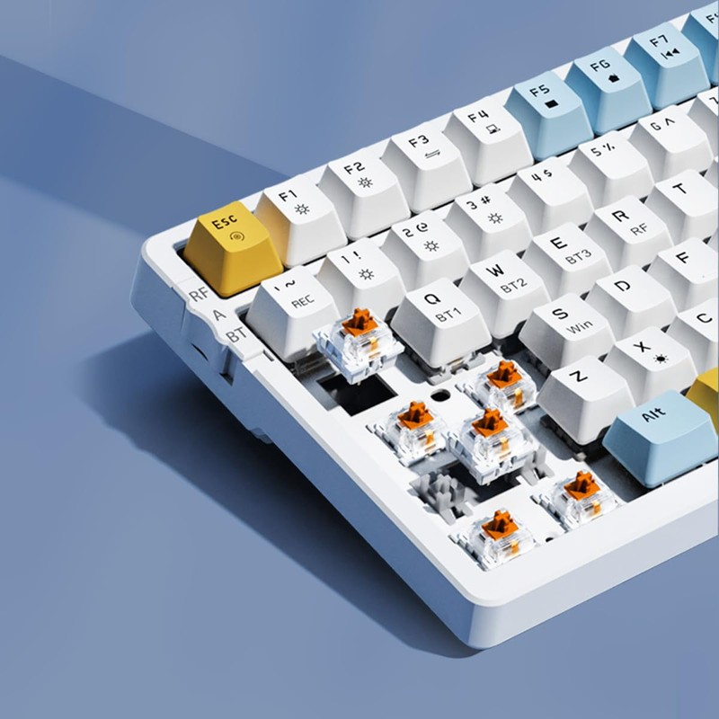 Merdia Wireless Mechanical Keyboard, Triple Mode 2.4G/USB-C/BT Gaming Keyboards 100