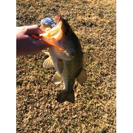 4" Spring Shad Multi Jointed Swimbait Bass Fishing Lure Bait Hard Slow Fast Sinking Life Like Big Gizzard Shad Minnow Bluegill Dark Sleeper Hooks (4" Spring Shad - Green Baby Bass)