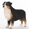 Conversation Concepts Australian Shepherd