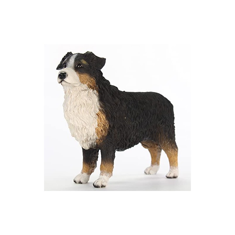 Conversation Concepts Australian Shepherd