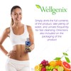 Wellgenix Omni Cleansing Drink, Extra Strength Body Detox, Herbal Cleanse