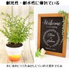 サクラクレパス 水性ペン ピグマックスツイン 12色 ZPK-T12