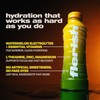 FLERISH Enhanced Hydration Drink | Watermelon-Based Functional Beverage with Electrolytes