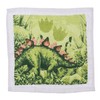 MIK funshopping Set of Magic Washcloths, Magic Cloth, Magic Towel,