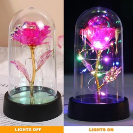 BAOXUE Rose Flower Gifts for Women,Galaxy Rose in Glass Dome,Lighted Eternal Flower,Forever Rose,Mom Womens Gifts for Christmas-Valentines Day Gifts for Her