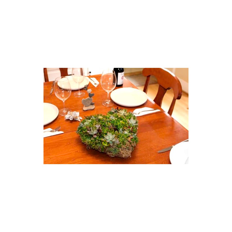 SuperMoss (22361) Living Wreath for Indoor and Outdoor Decor –