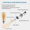 LUXON LED Edison Bulbs,Dimmable,4Watt(Equivalent 40W),2700K Warm White,ST64 Amber Glass Antique