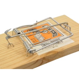 Phase Length Wood Mouse, Tri Both Spring