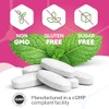 Dental Probiotic Chewable Mint Tablets for Fresh Breath