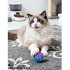 HEUHAI 15-Piece Cat Toy Set, Safe & Sturdy (1.5'' -