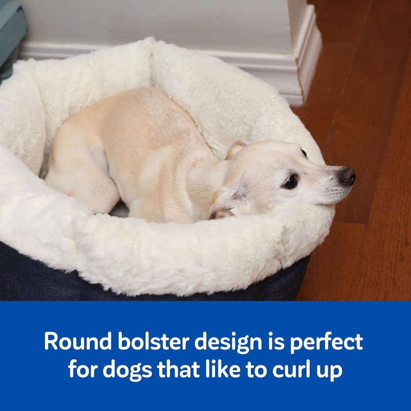 Petmate High Wall Small Dog Bed, 18 x 18in, for