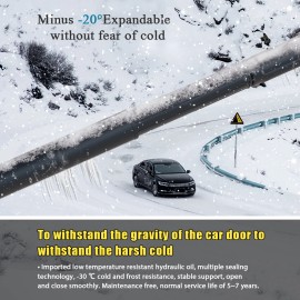 YXPCARS 2PCS Rear Tailgate Power Hatch Lift Support for Ford Explorer 2015 Sport Utility