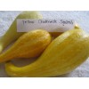 Unbranded Heirloom Melon & Squash Garden Collection-Org