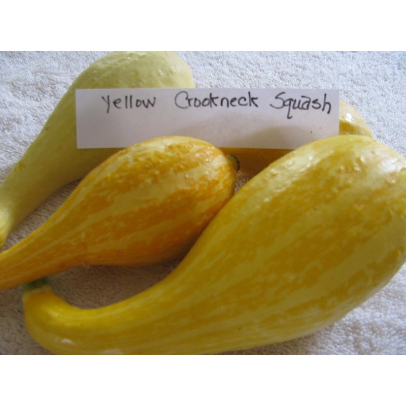 Unbranded Heirloom Melon & Squash Garden Collection-Org