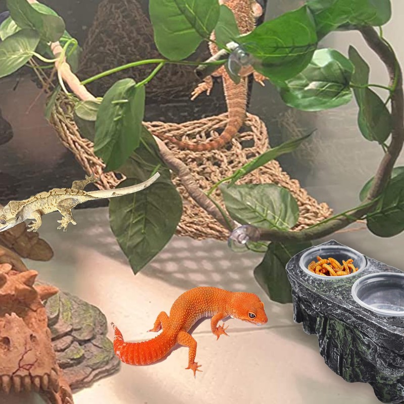 PINVNBY Reptile Feeding Ledge with Suction Cups,Crested Gecko Feeder Ledges