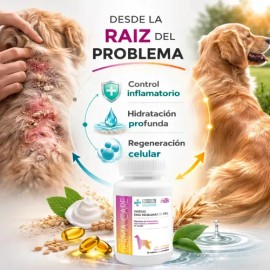 Fancy Pets Vitaminas en Tabletas Masticables Para Piel y Pelaje 60 Unidades Tabletas Masticables Con Omega 3 6 Y 9 Vitaminas Y Minerales Suplemento Para Piel Pelaje Brillante Hidratación Y Elasticidad