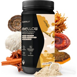 QUENUT | Mezcla de Hongos Adaptógenos en Polvo - MELLOW 350g - Mushroom Blend con Extracto de Melena de León, Cordyceps, Chaga, Cacao Mexicano, Jengibre y Cúrcuma - Apoyo para el Estrés, Sueño y Relajación